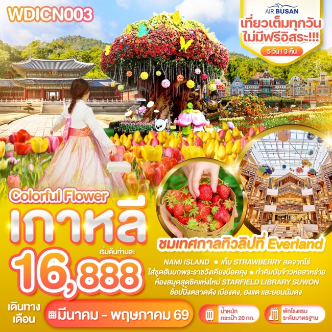 ทัวร์เกาหลี Wonder Korea Colorful Flower ชมดอกไม้บาน 5 วัน 3 คืน ทัวร์เกาหลี Wonder Korea Colorful Flower ชมดอกไม้บาน 5 วัน 3 คืน