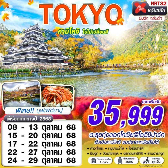 ทัวร์ญี่ปุ่น TOKYO คามิโคจิ ใบไม้เปลี่ยนสี (บินดึกกลับดึก เที่ยวเต็ม) 6D3N
