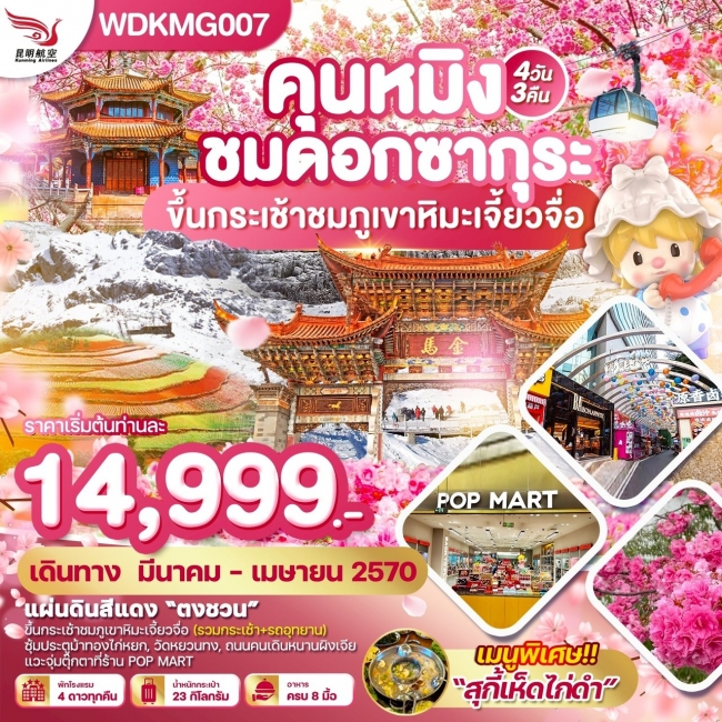 ทัวร์คุนหมิง ”ชมดอกซากุระบาน“ภูเขาหิมะเจี้ยวจื่อ แผ่นดินสีแดง 4วัน3คืน บิน KY