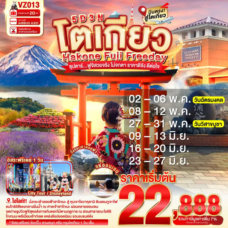 ทัวร์ญี่ปุ่น TOKYO HAKONE FUJI FREEDAY 5D 3N BY VZ