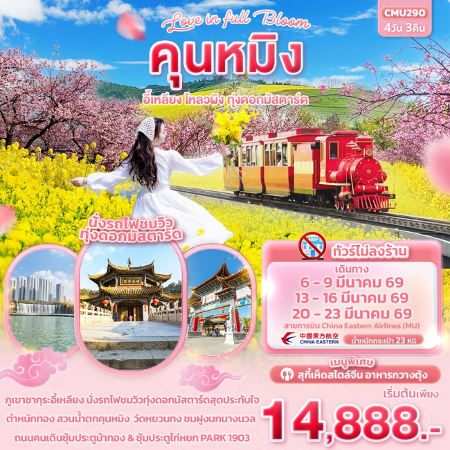 ทัวร์จีน Love in Full Bloom คุนหมิง อี้เหลียง โหลวผิง ทุ่งดอกมัสตาร์ด 4วัน 3คืน