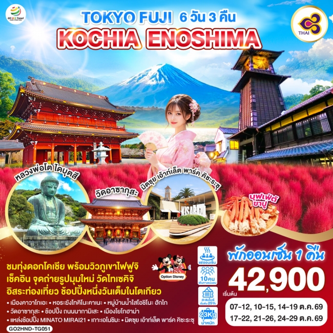 ทัวร์ญี่ปุ่น TOKYO FUJI KOCHIA ENOSHIMA 6D 3N
