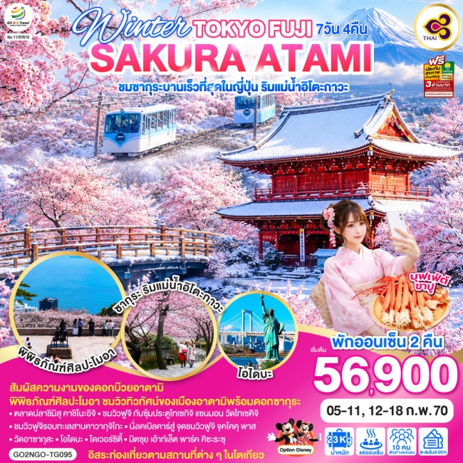 ทัวร์ญี่ปุ่น TOKYO FUJI SAKURA ATAMI 7D 4N