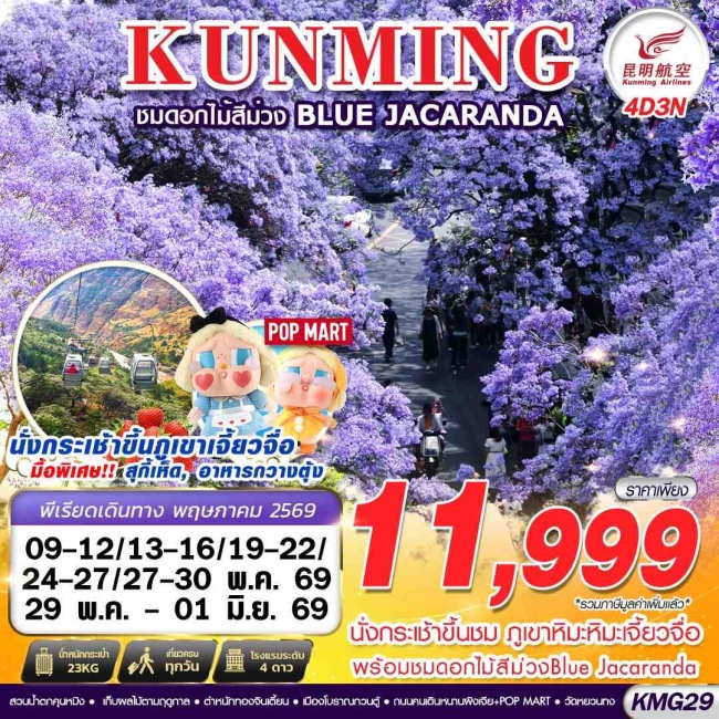 ทัวร์KUNMING ภูเขาหิมะเจี้ยวจื่อ - ดอกไม้สีม่วง Blue Jacaranda 4D3N ทัวร์KUNMING ภูเขาหิมะเจี้ยวจื่อ - ดอกไม้สีม่วง Blue Jacaranda 4D3N