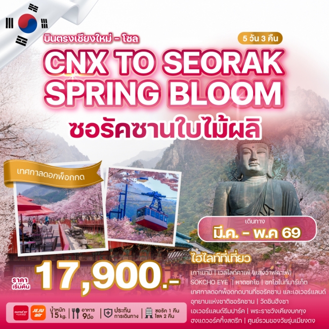 ทัวร์เกาหลีบินตรงเชียงใหม่ CHIANG MAI TO SEORAK SPRING BLOOM 5 คืน 3 คืน