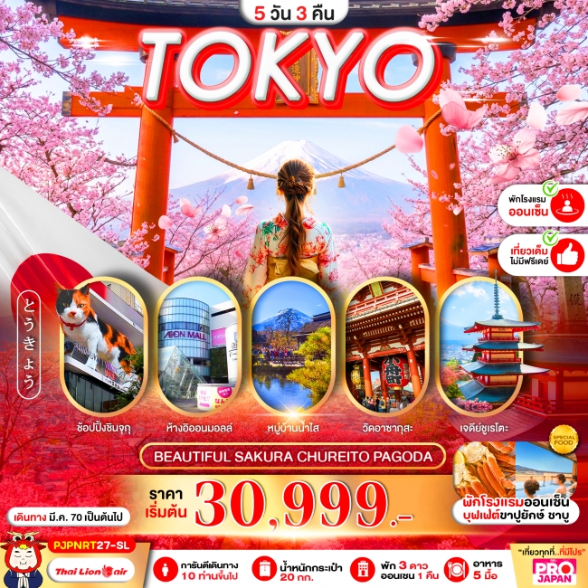 ทัวร์ญี่ปุ่น TOKYO BEAUTIFUL SAKURA CHUREITO PAGODA FULL DAY 5D3N