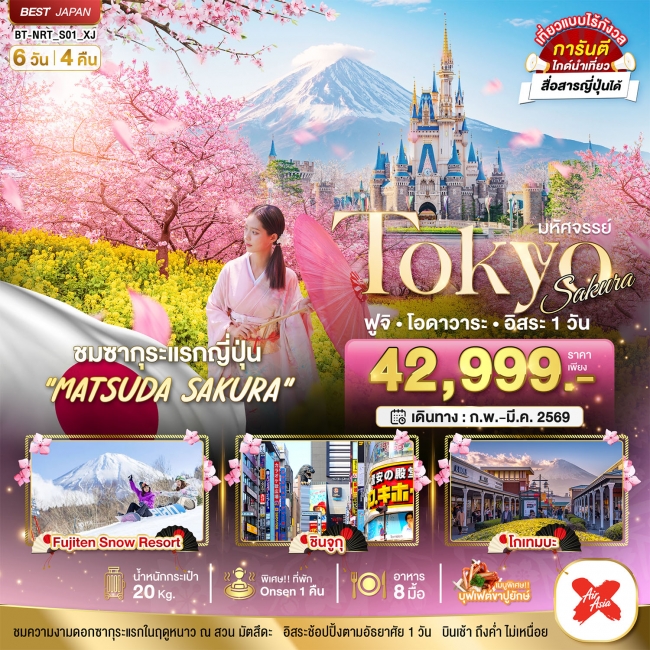 ทัวร์ญี่ปุ่น TOKYO SAKURA ฟูจิ โอดาวาระ อิสระ 1 วัน