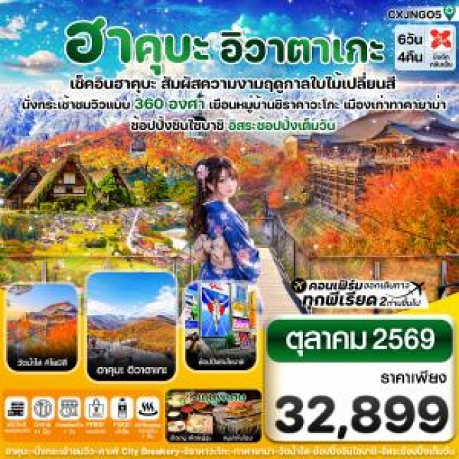 ทัวร์ญี่ปุ่น ฮาคุบะ อิวาตาเกะ โอซาก้า ใบไม้เปลี่ยนสี 6 วัน 4 คืน