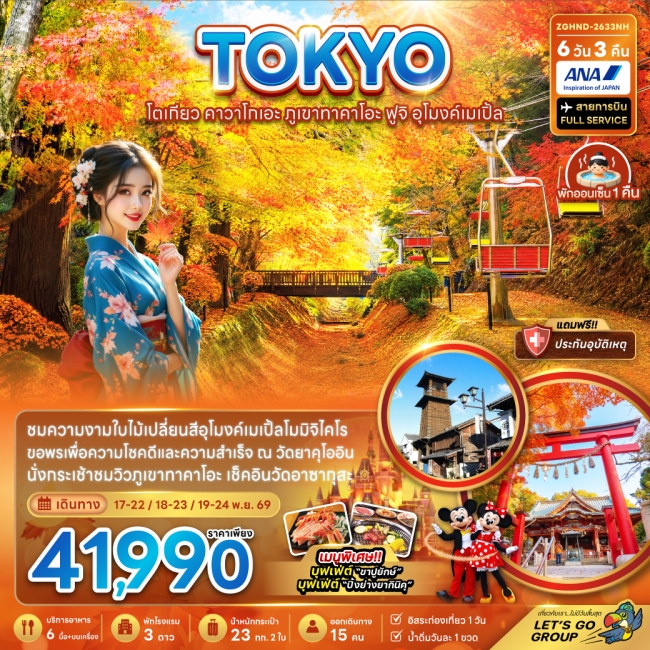ทัวร์ญี่ปุ่น โตเกียว คาวาโกเอะ ภูเขาทาคาโอะ ฟูจิ อุโมงค์เมเปิ้ล (เที่ยวอิสระ 1 วัน)