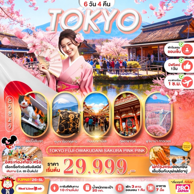 ทัวร์ญี่ปุ่น TOKYO FUJI OWAKUDANI SAKURA PINK PINK 6D4N