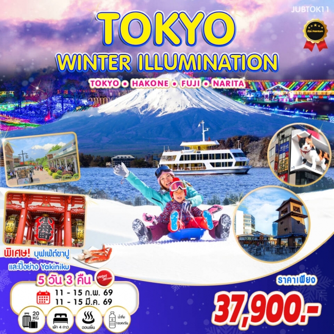 ทัวร์ญี่ปุ่น TOKYO-FUJI WINTER ILLUMINATION 5 วัน 3 คืน By VZ