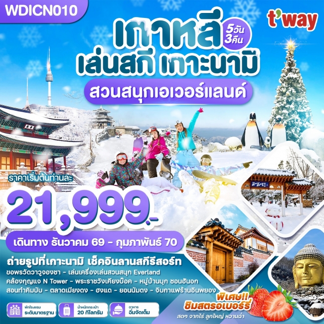 ทัวร์เกาหลีใต้ เล่นสกี เกาะนามิ สวนสนุกเอเวอร์แลนด์ 5วัน3คืน