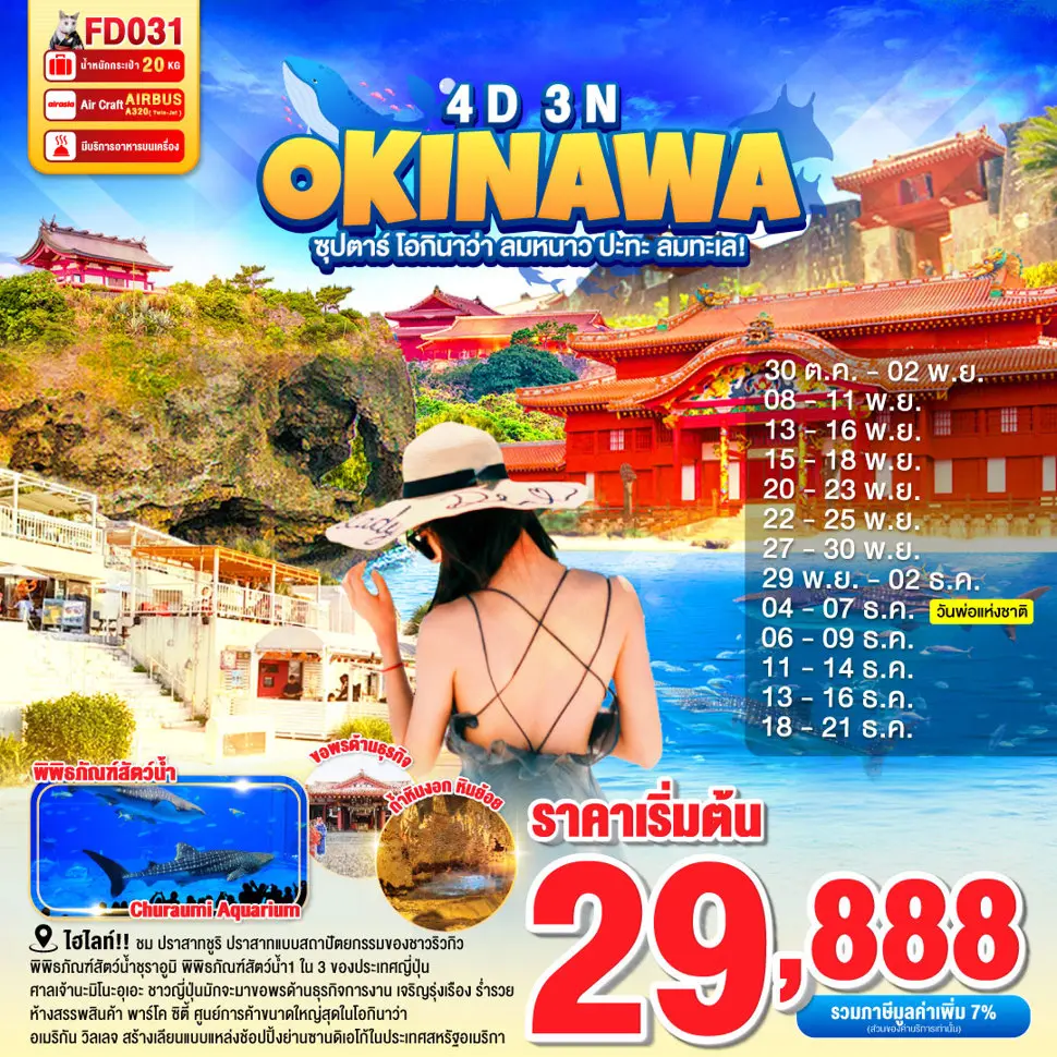 ทัวร์ญี่ปุ่น OKINAWA 4DAYS 3NIGHTS  ซุปตาร์ โอกินาว่า ลมหนาว ปะทะ ลมทะเล!