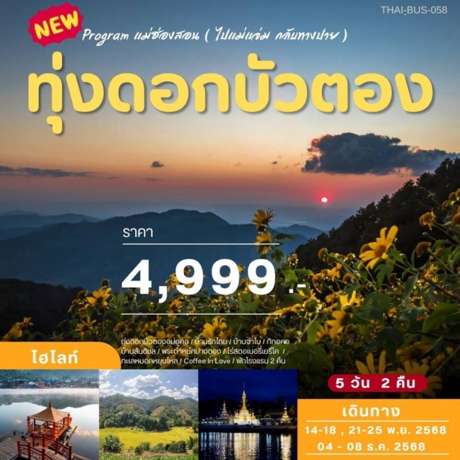 ทัวร์ไทย ทุ่งดอกบัวตองแม่ฮ่องสอน(ไปแม่แจ่มกลับปาย)