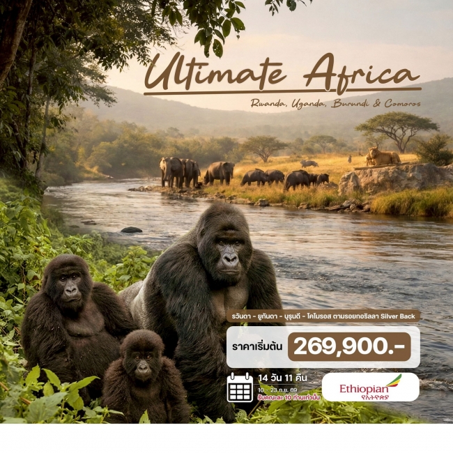 ทัวร์แอฟริกา รวันดา – ยูกันดา – บุรุนดี – โคโมรอส 14 วัน 11 คืน
