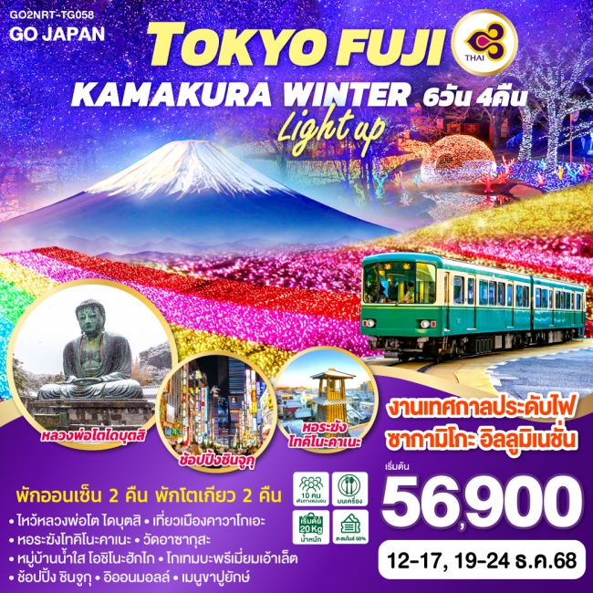 ทัวร์ญี่ปุ่น TOKYO FUJI KAMAKURA WINTER LIGHT UP 6D 4N