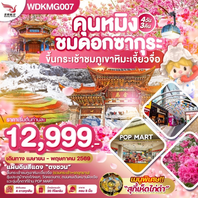 ทัวร์คุนหมิง ”ชมดอกซากุระบาน“ภูเขาหิมะเจี้ยวจื่อ แผ่นดินสีแดง 4วัน3คืน บิน KY