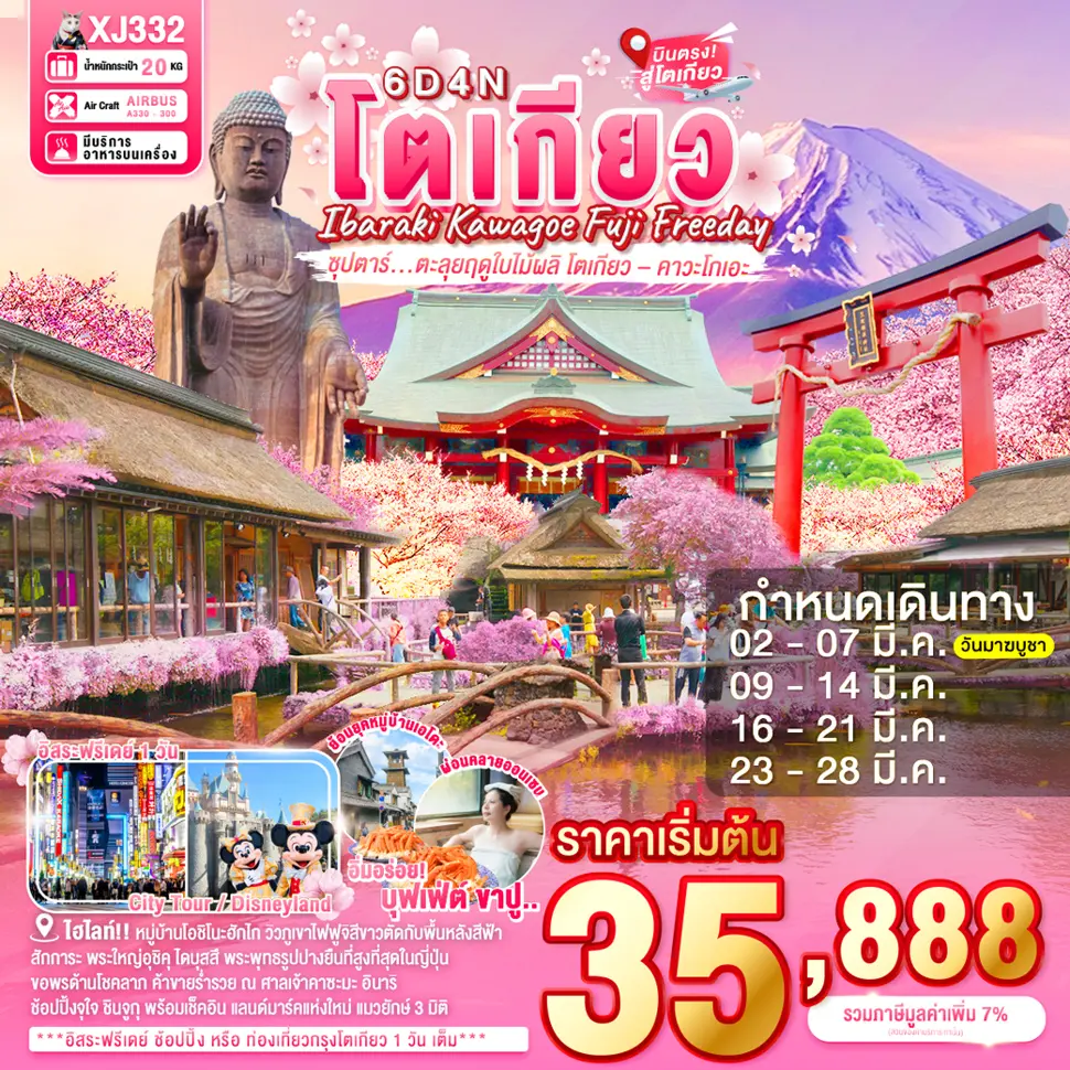 ทัวร์ญี่ปุ่น IBARAKI KAWAGOE FUJI TOKYO FREEDAY
