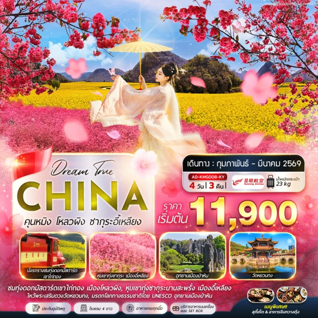 ทัวร์จีนคุนหมิง โหลวผิง ซากุระอี้เหลียง ทัวร์จีนคุนหมิง โหลวผิง ซากุระอี้เหลียง