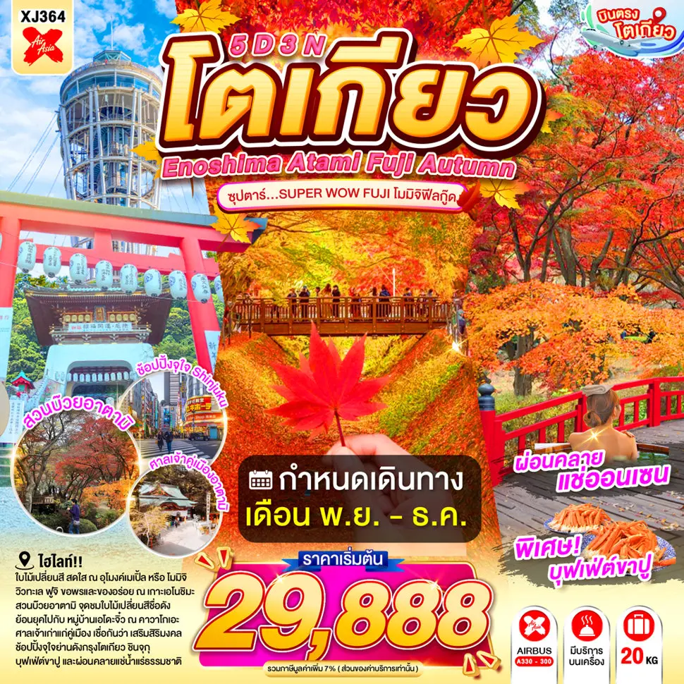 ทัวร์ญี่ปุ่น TOKYO FUJI AUTUMN 5D 3N