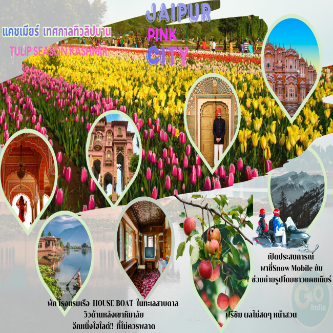 ทัวร์อินเดีย เทศกาลทิวลิปบาน แคชเมียร์ ชัยปูร์ ศรีนาคา กุลมาร์ค พาฮาลแกรม 6 วัน 5 คืน