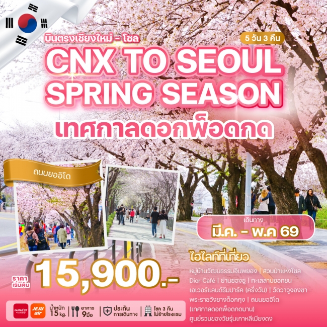 ทัวร์เกาหลีบินตรงเชียงใหม่ - โซล CHIANGMAI TO SEOUL SPRING SEASON 5 วัน 3 คืน