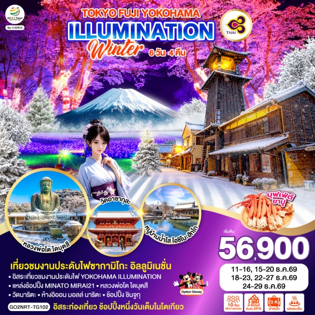 ทัวร์ญี่ปุ่น TOKYO FUJI YOKOHAMA ILLUMINATION WINTER 6D 4N