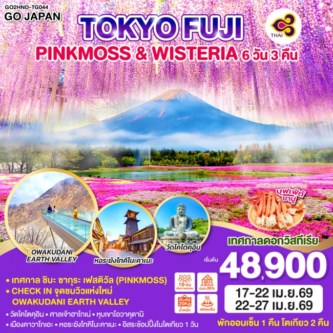 ทัวร์TOKYO FUJI PINKMOSS & WISTERIA 