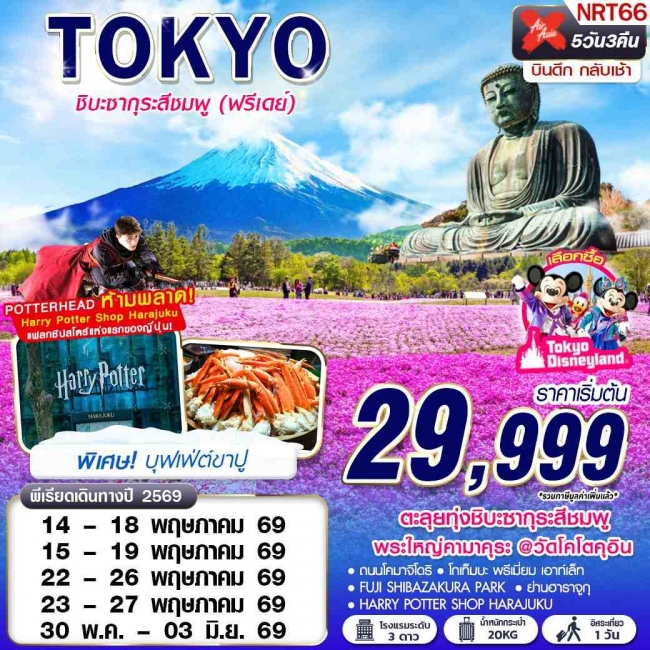 ทัวร์ญี่ปุ่น TOKYO ชิบะซากุระสีชมพู (FREEDAY) บินดึกกลับเช้า 5D3N