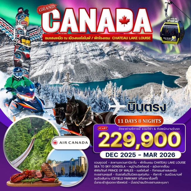 ทัวร์แกรนด์แคนาดา ล่าแสงเหนือ เยลโล่ไนฟ์ 