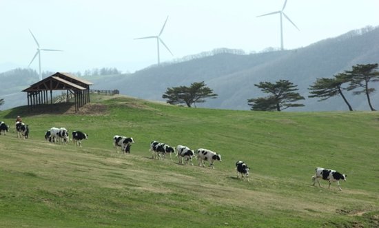 Samyang Eco Green Campus