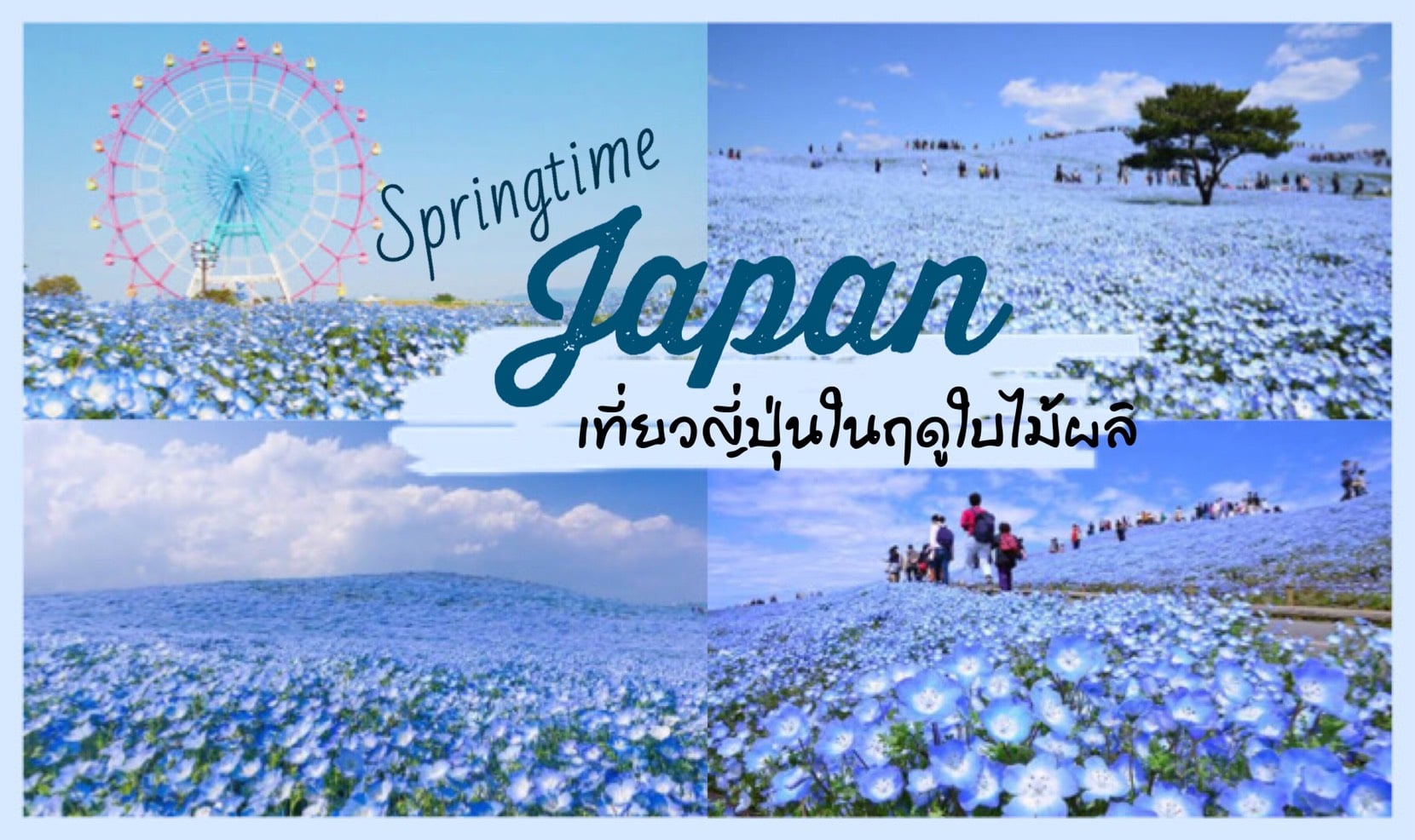 ทัวร์ญี่ปุ่น – เที่ยวญี่ปุ่นในฤดูใบไม้ผลิ นั้นมีอะไรดี ที่ทำให้คุณนั้นต้องอยากไป!